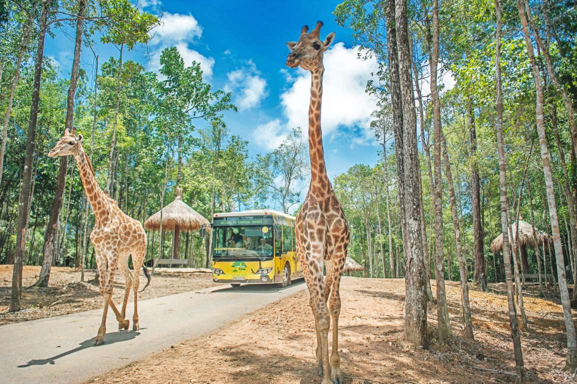 野生動物探索・主題樂園歡樂一日 | Vinpearl Safari · VinWonder
