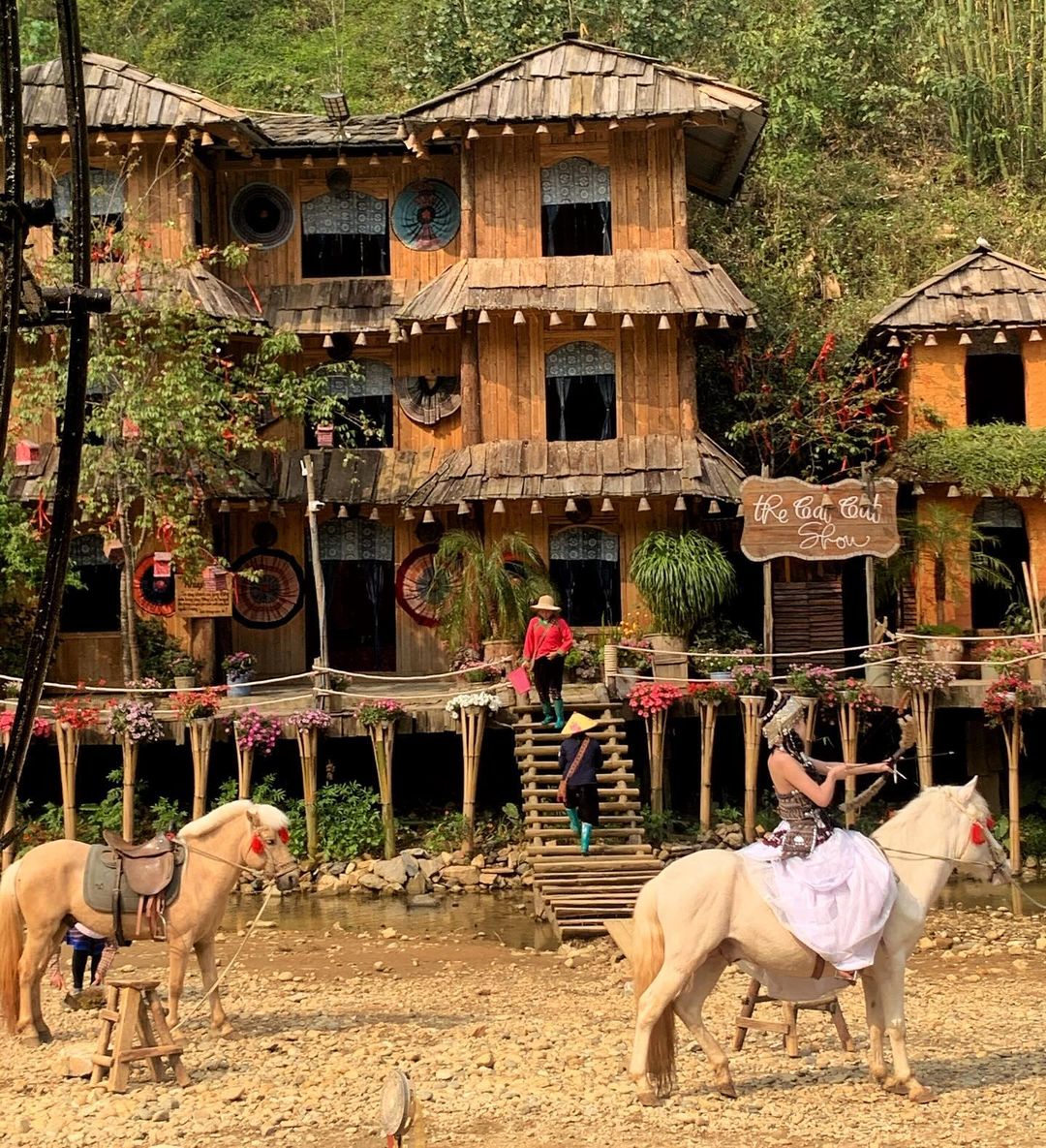 沙壩第一天｜番西邦雲海 · 芒花火車 · 貓貓村文化漫遊