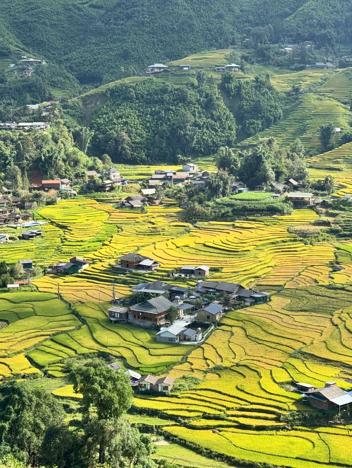 北越全覽7天6夜之旅｜河內・沙壩・寧平・下龍灣