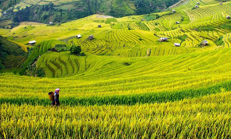 沙壩第二天：塔範・老柴民族村・返回河內